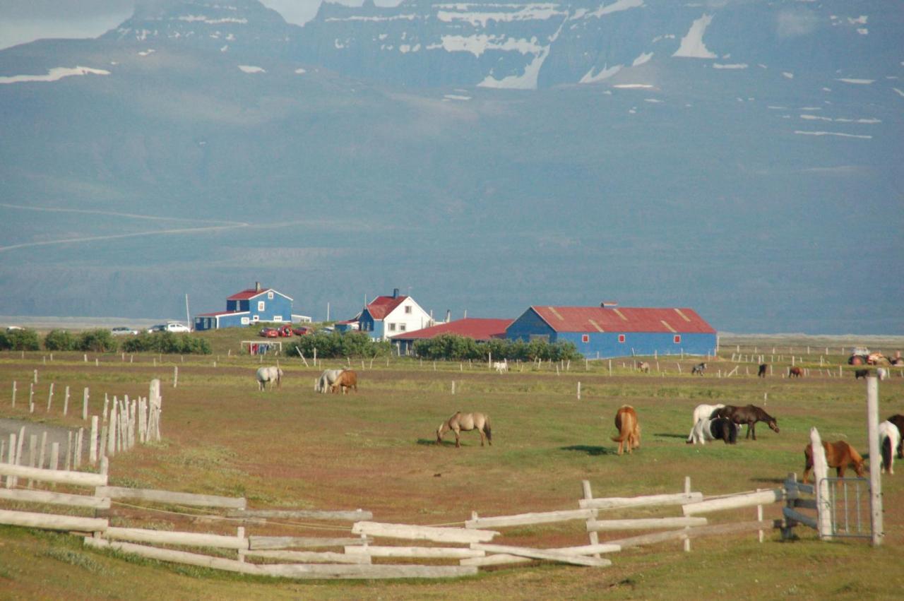 Husey Hostel & Horsefarm Egilsstaðir Exterior foto